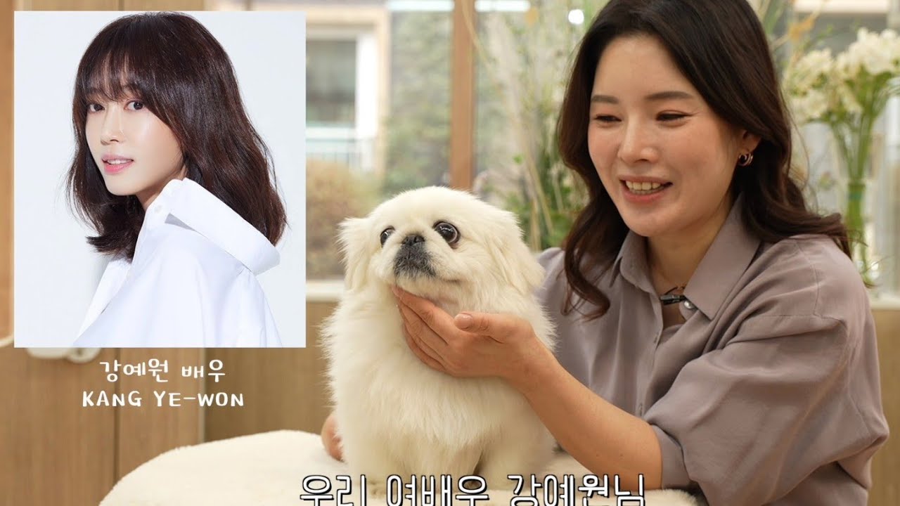 [애니살롱] 여배우 강예원님 반려견🩷하프물범으로 컷트해봤습니다...(feat.페키니즈)