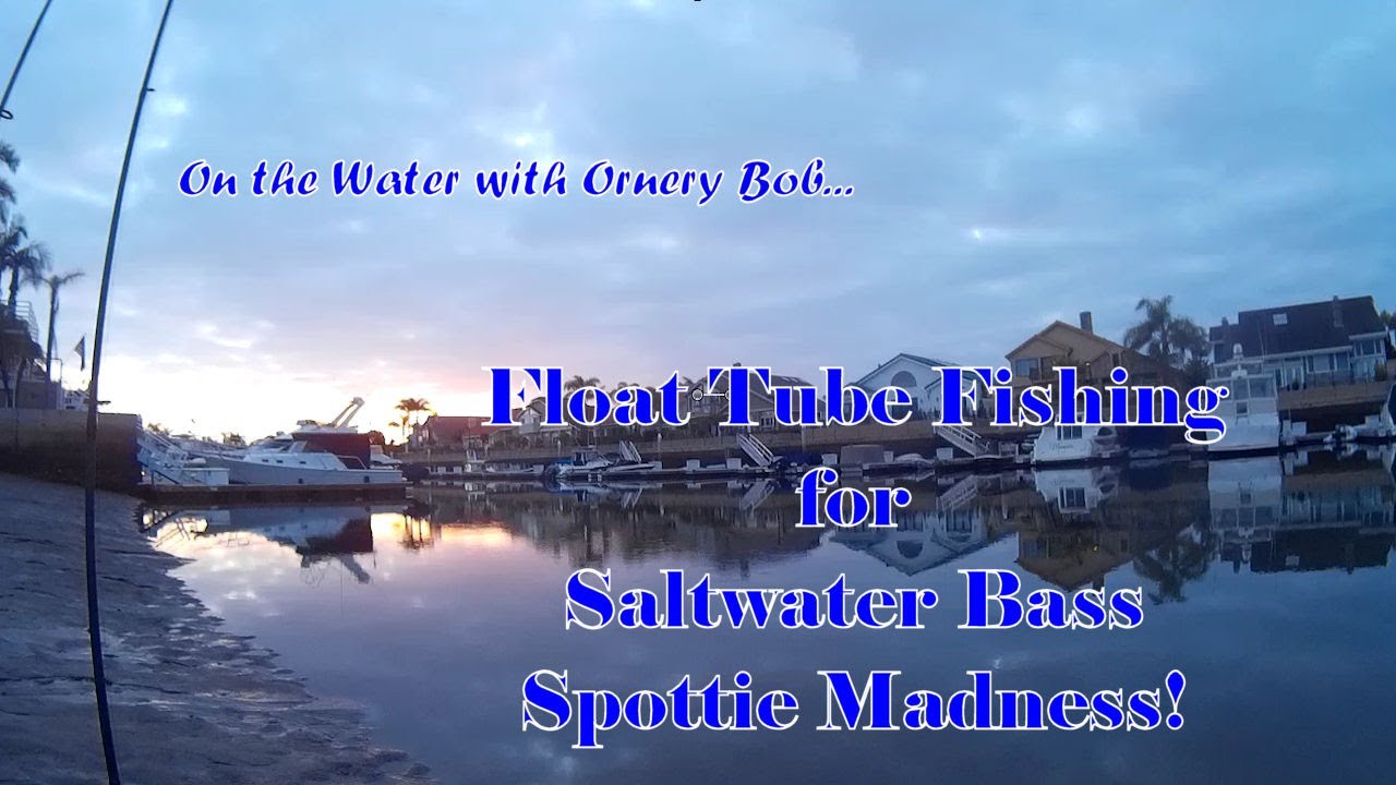Float Tube Fishing for Saltwater Bass - Spottie Madness!
