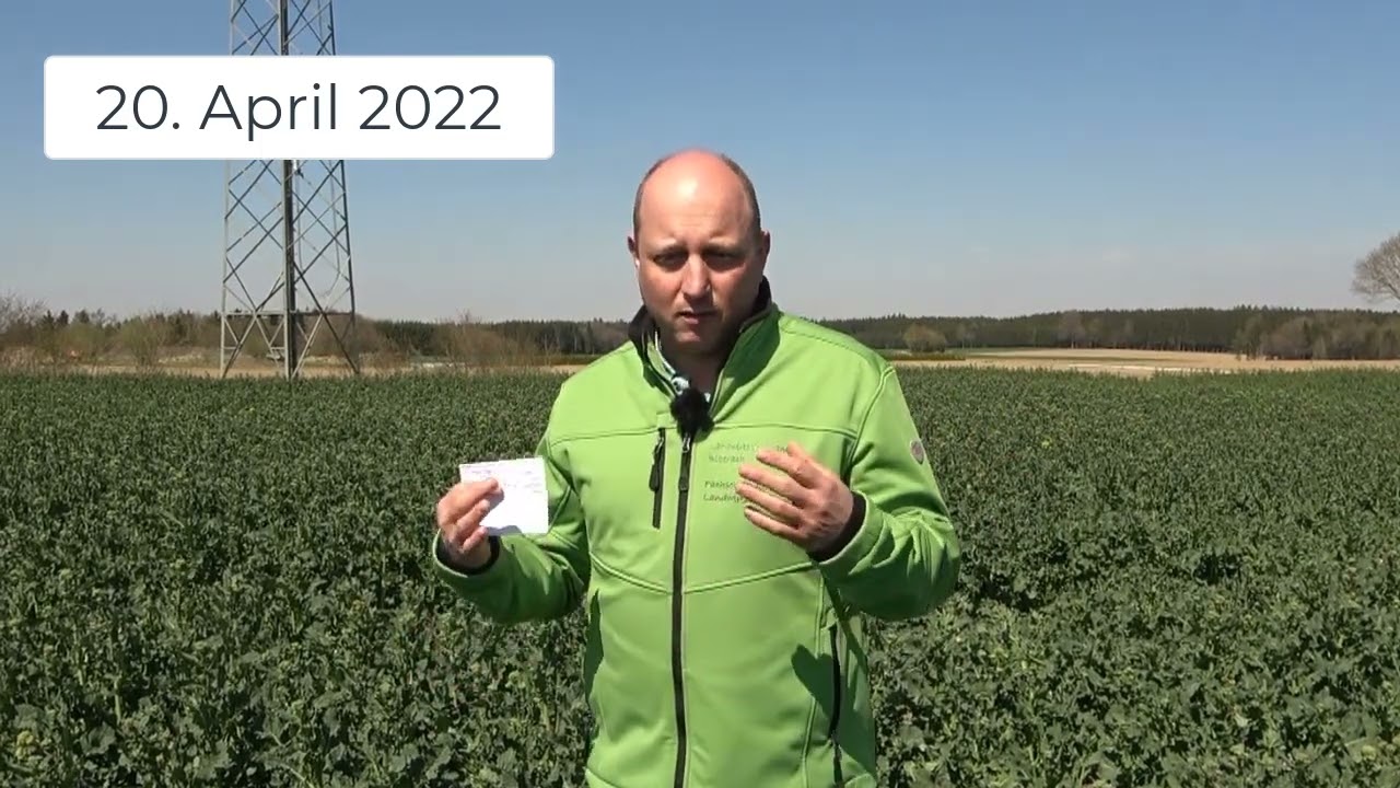 Pflanzenbau Aktuell - 20.04.2022