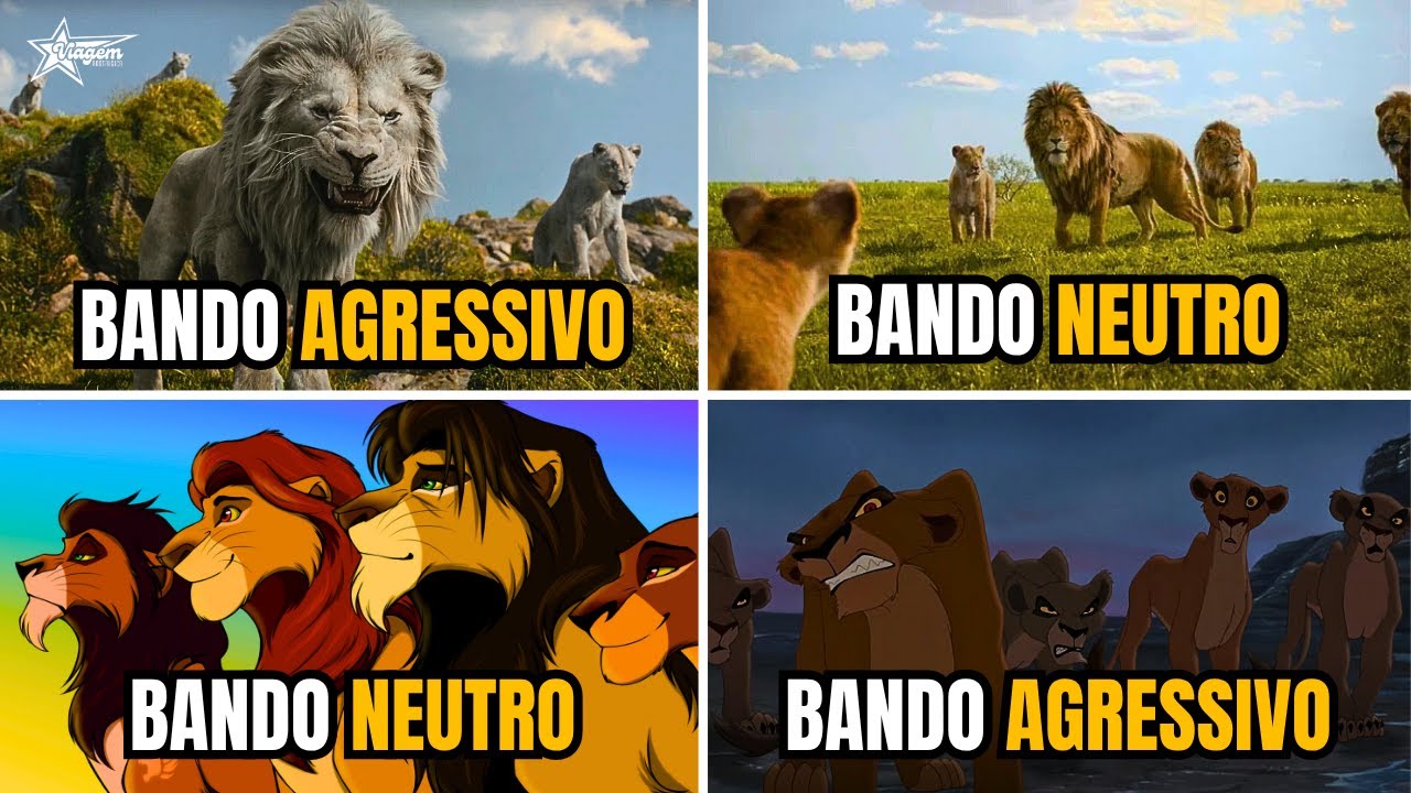 QUAIS AS DIFERENÇAS ENTRE OS BANDOS DE LEÕES EM O REI LEÃO? #reileao #reileão #oreileão #oreileao