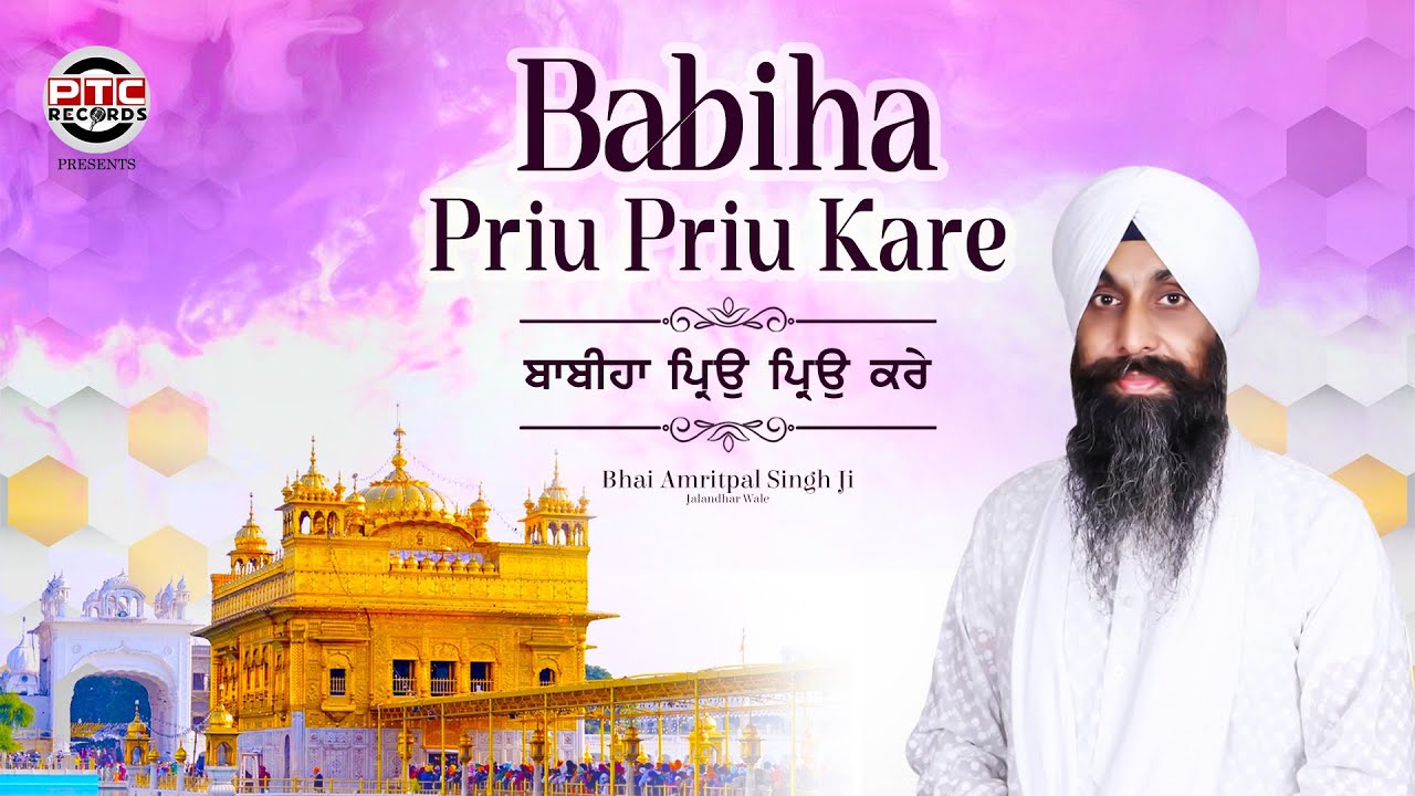 Shabad - Babiha Priu Priu Kare | Bhai Amritpal Singh Ji (Jalandhar Wale) | PTC RECORDS