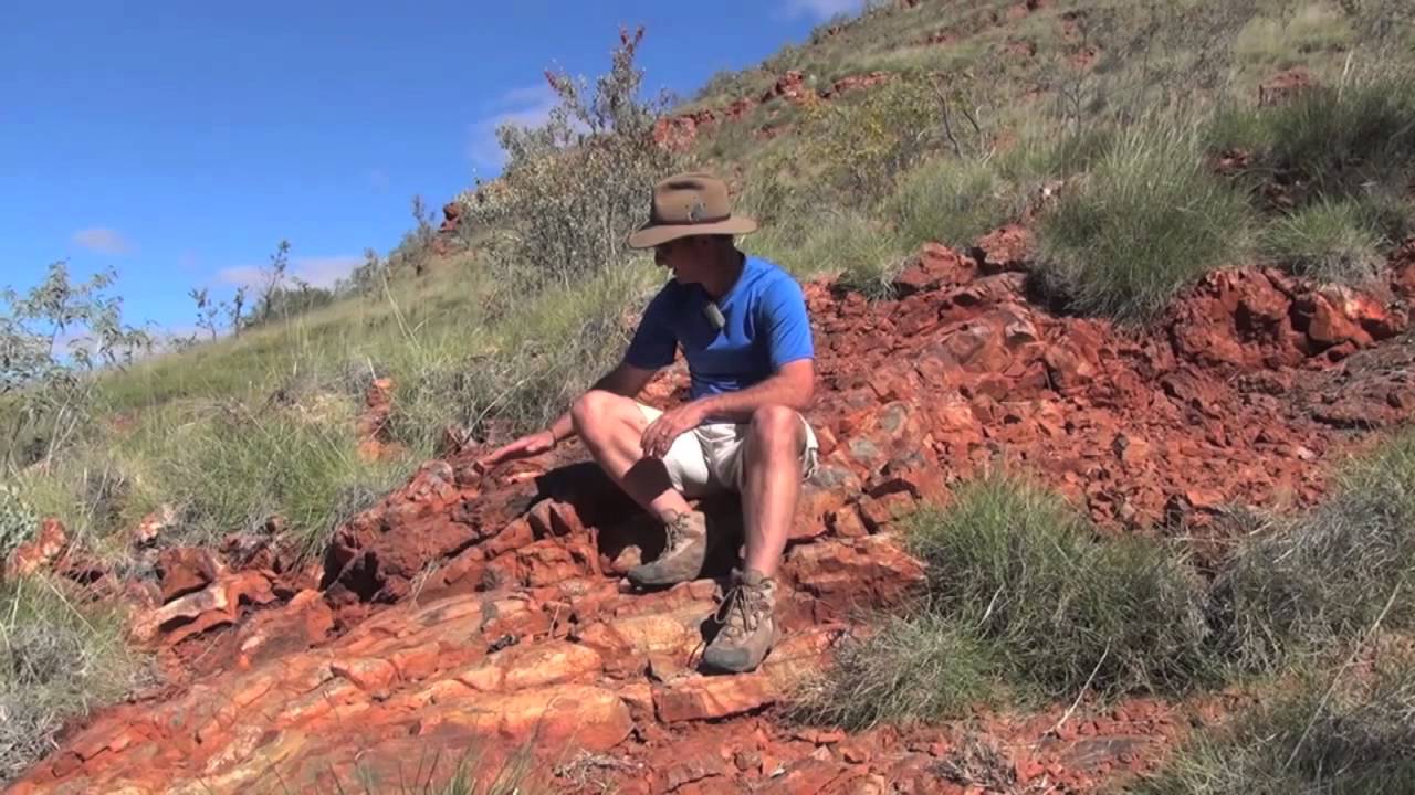 Oldest evidence for life in the geological record