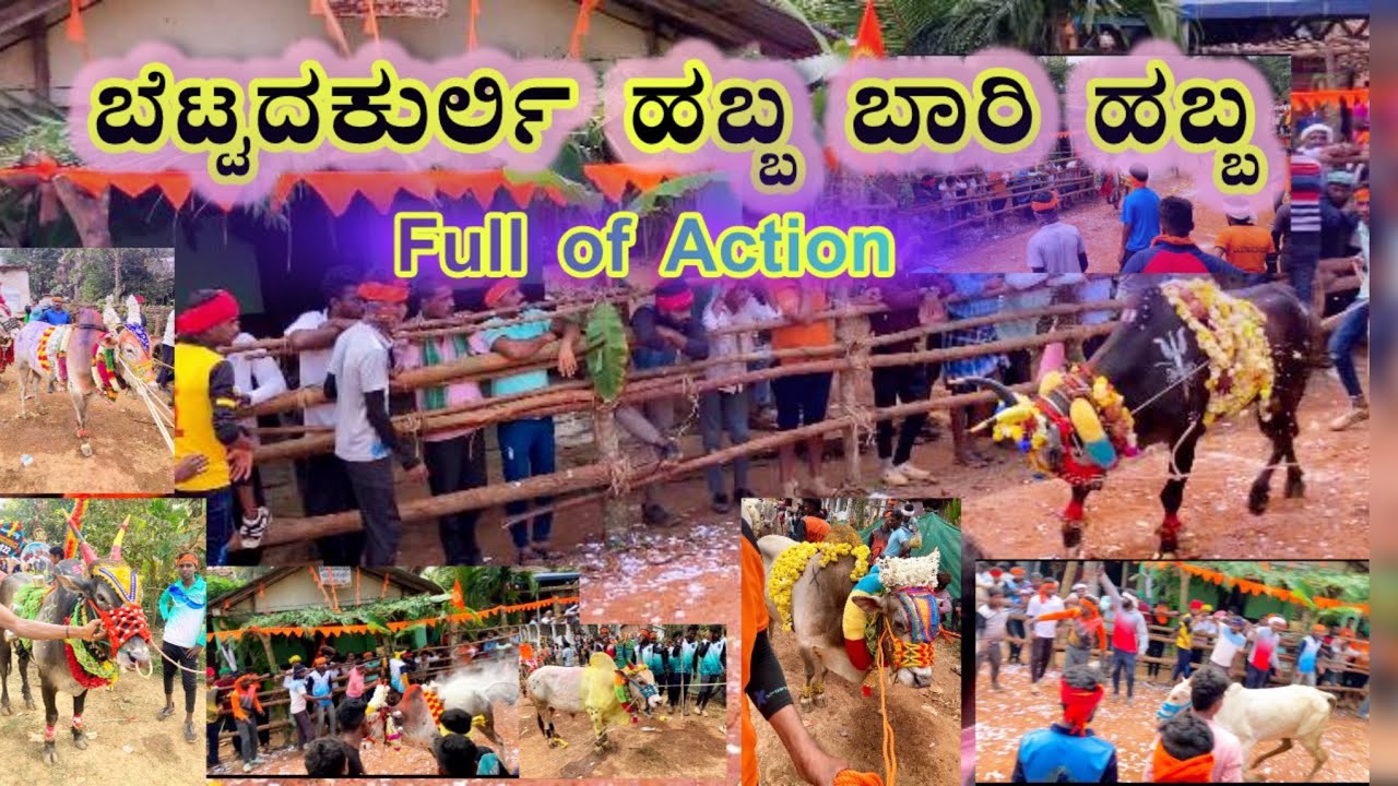 ಬೆಟ್ಟದಕುರ್ಲಿ ಹೋರಿ ಹಬ್ಬ ||Top Habba 2024|| Bettada kurli Hori Habba#jallikattu#horihabbathebullrace
