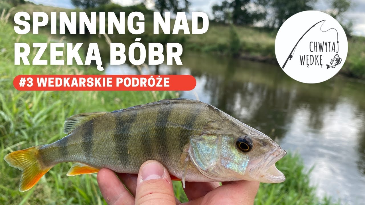 SPINNING nad RZEKĄ BÓBR | Wędkarskie podróże #3