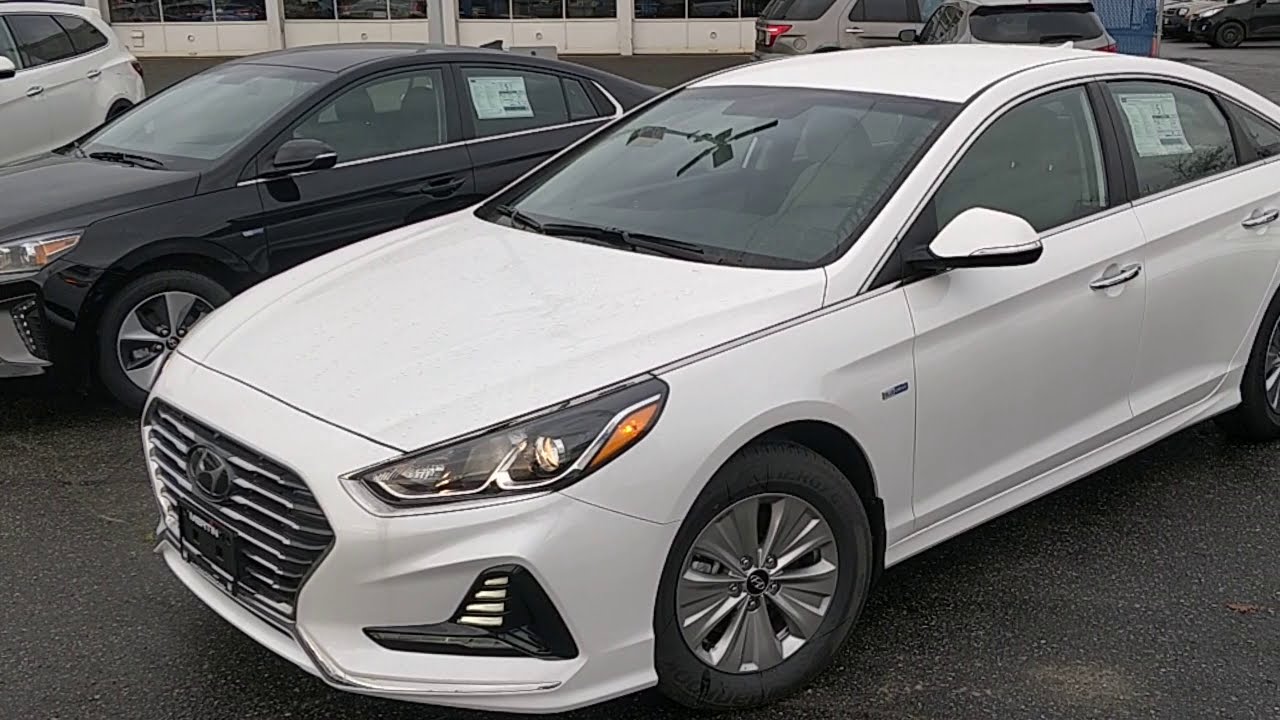 2018 Sonata Hybrid vs 2019 Ioniq Hybrid, interior space review!