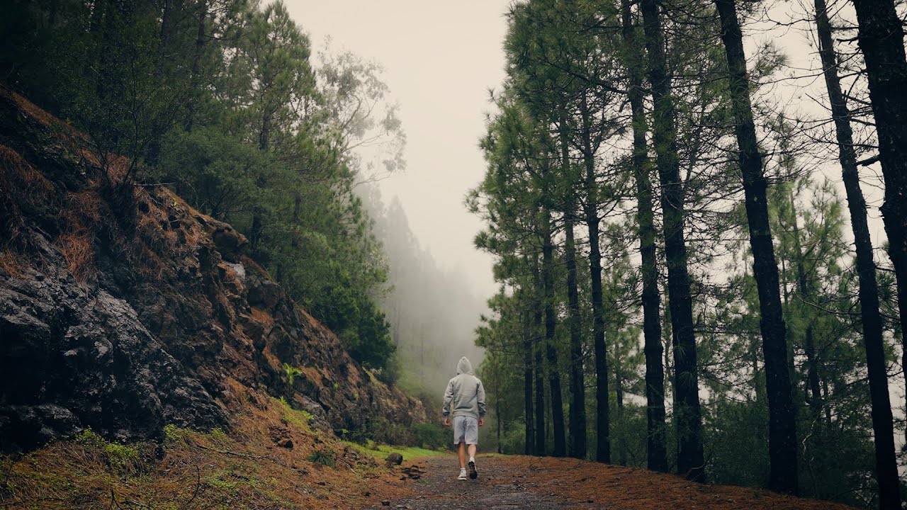 &laquo;Прототипы&raquo; людей