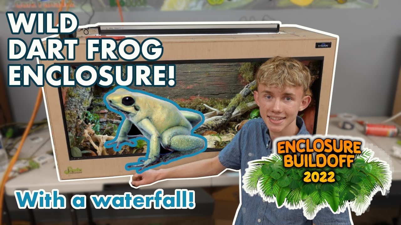 Building a HUGE DART FROG ENCLOSURE at the Snake Discovery Build-Off!