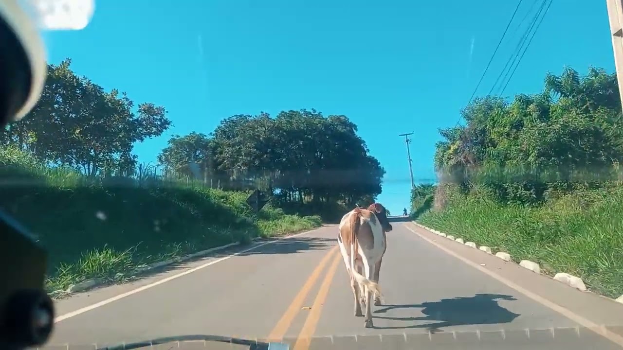 Nas estradas de Missão velha passando por Jamacaru com destino a Porteiras