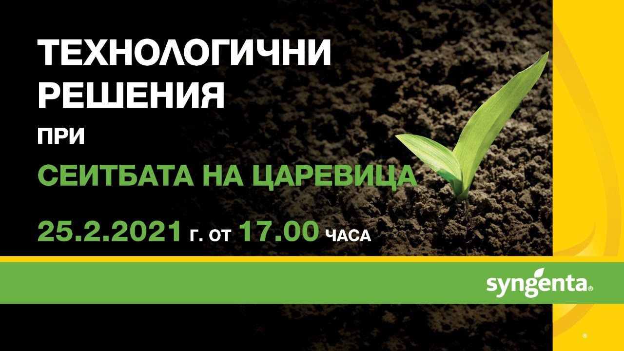 Технологични решения при сеитбата на царевица от Синджента!