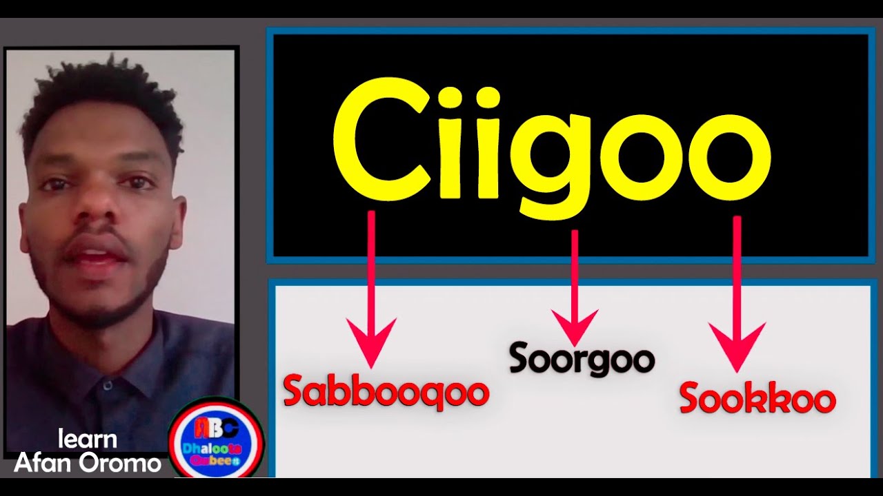 Ciigoo | Soorgoo | Sookkoo | Afaan Oromoo | Idioms