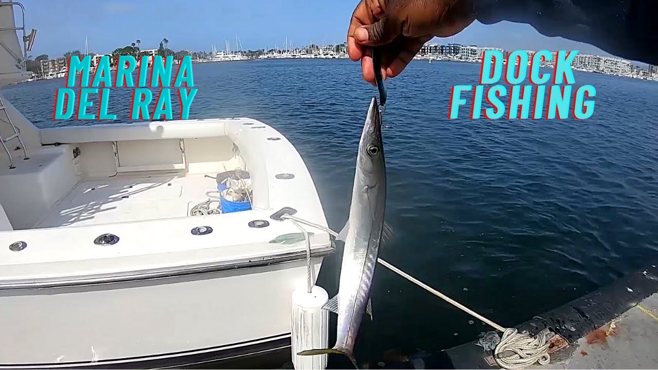 Marina Del Ray Bait Dock Fishing