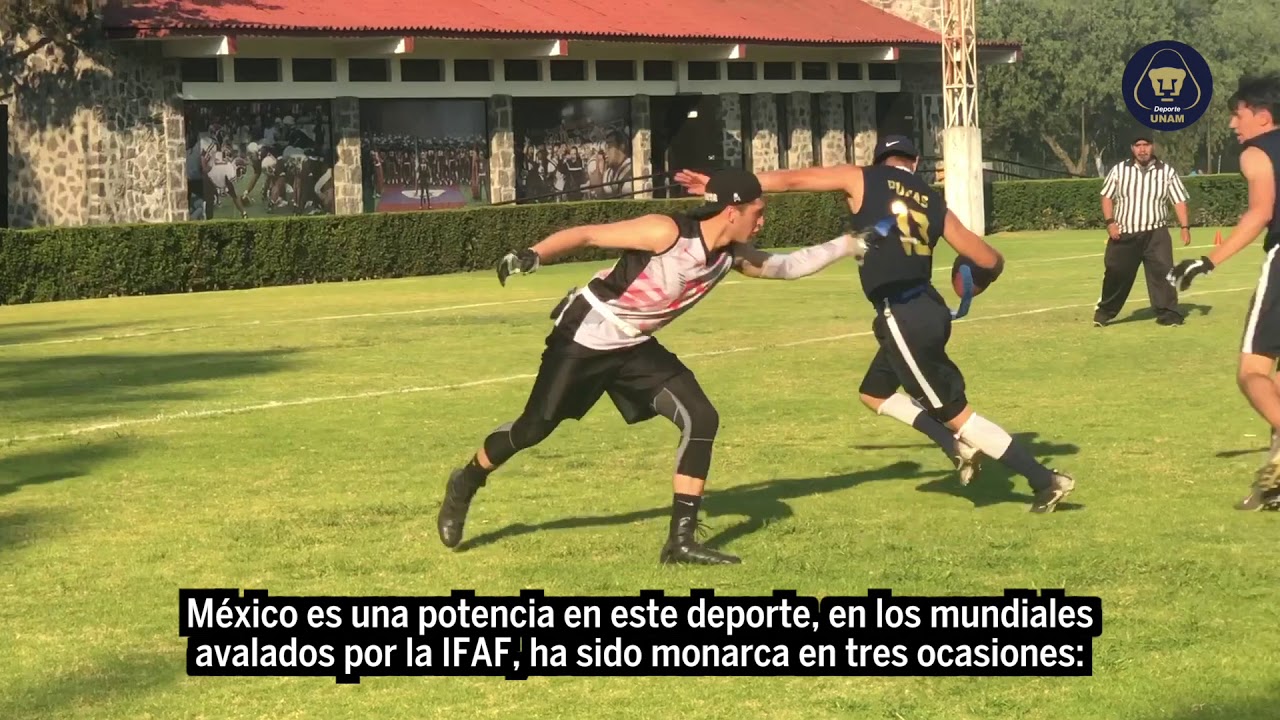 Tocho Bandera en la UNAM
