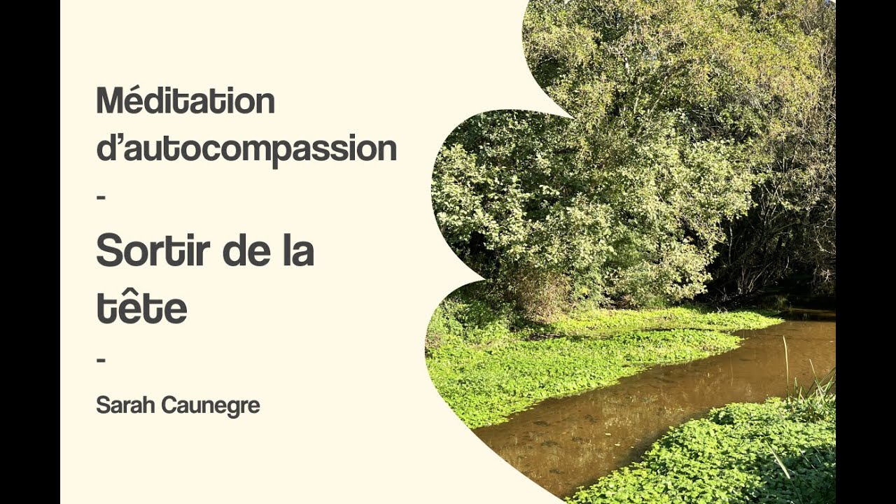 Méditation - Sortir de la tête et revenir dans l'instant