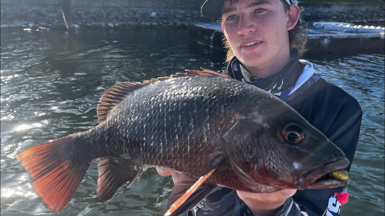 FIRST VIDEO! - Two days fishing for mangrove jacks in the Gold Coast. 