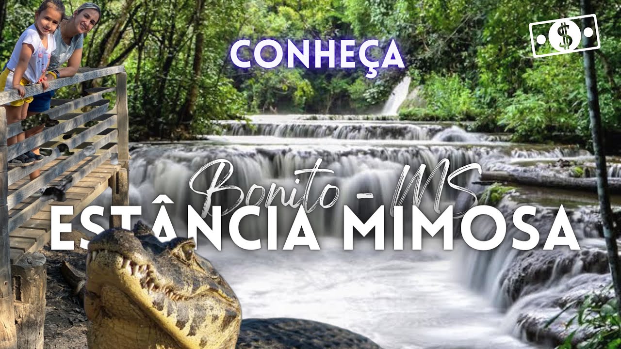 Melhores Cachoeiras de Bonito - Estancia Mimosa - MS - Jac&aacute;res, Araras, Cavalos e Ecoturismo