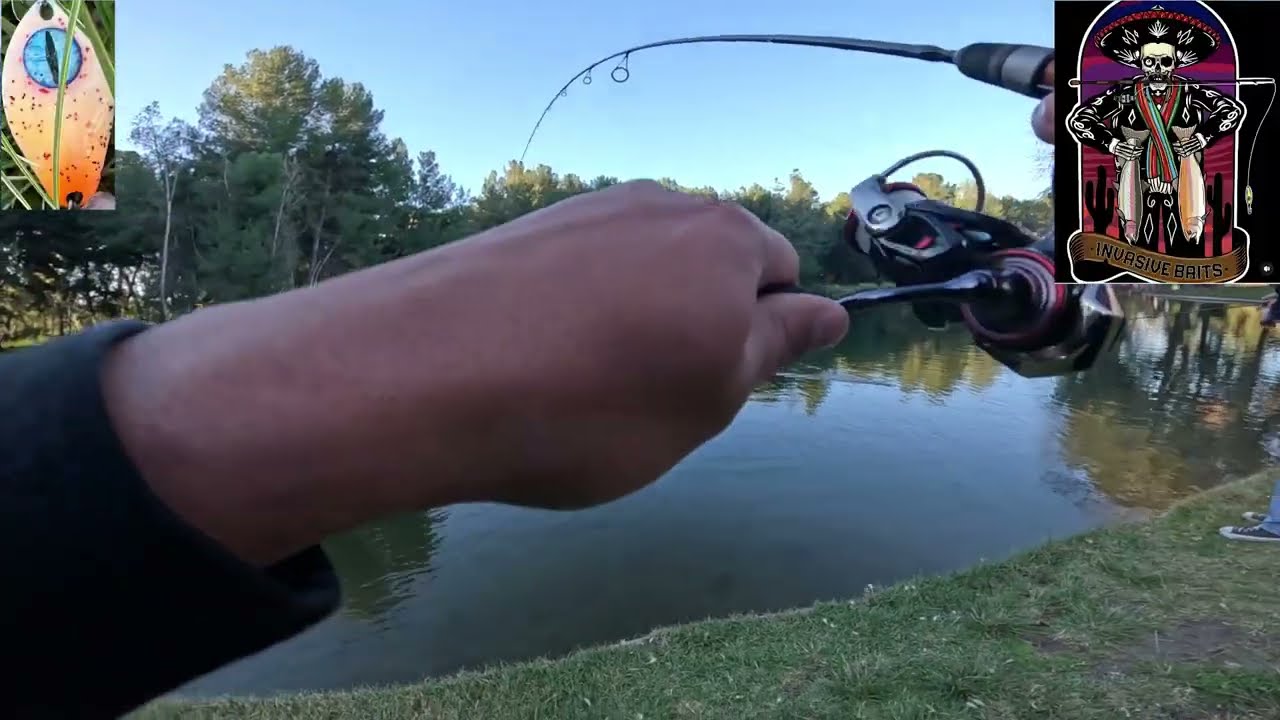 Insane Trout Action at Yorba Linda Regional Park