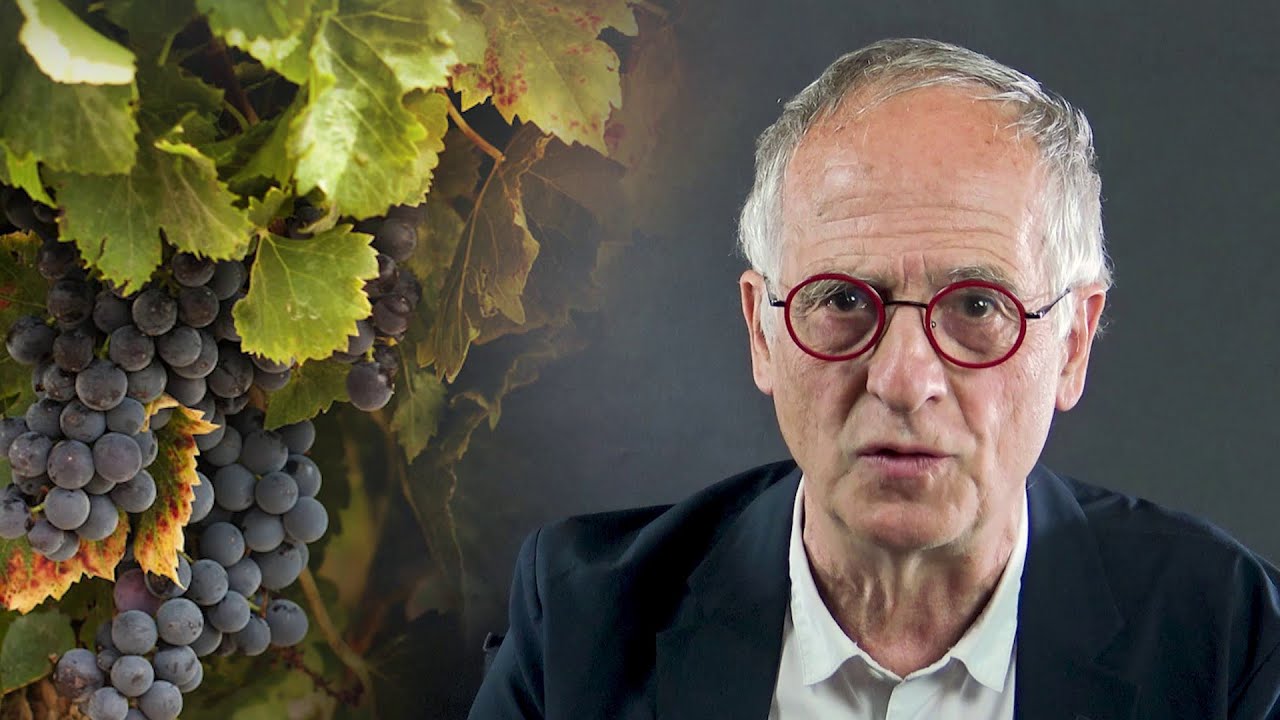 Comment comprendre l'image des sarments attachés à la vigne ? Jean 15, 1-8