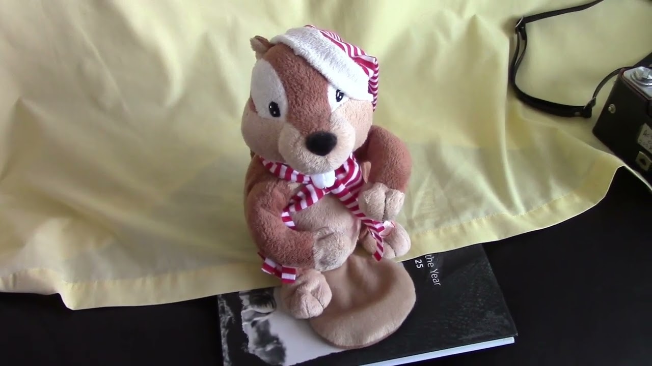 Обзор: Миниатюрный автоматический фотовспышка ZENIKO ZA12