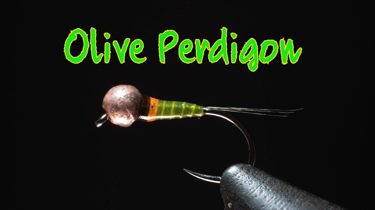 Olive Perdigon ( Competitive fly fishing/tying)