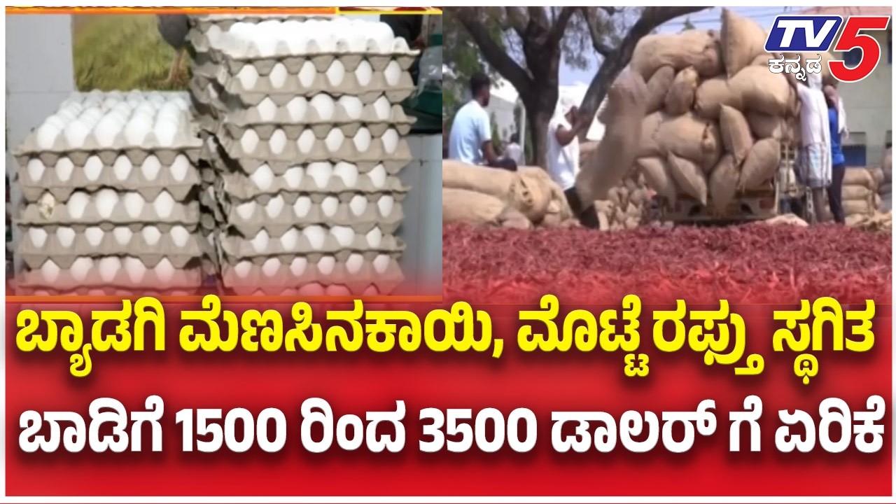 Gulf War Effect: ಬ್ಯಾಡಗಿ ಮೆಣಸಿನಕಾಯಿ, ಮೊಟ್ಟೆ ರಫ್ತ್ತು ಸ್ಥಗಿತ ಬಾಡಿಗೆ 1500 ಇಂದ 3500 ಡಾಲರ್ ಗೆ ಏರಿಕೆ