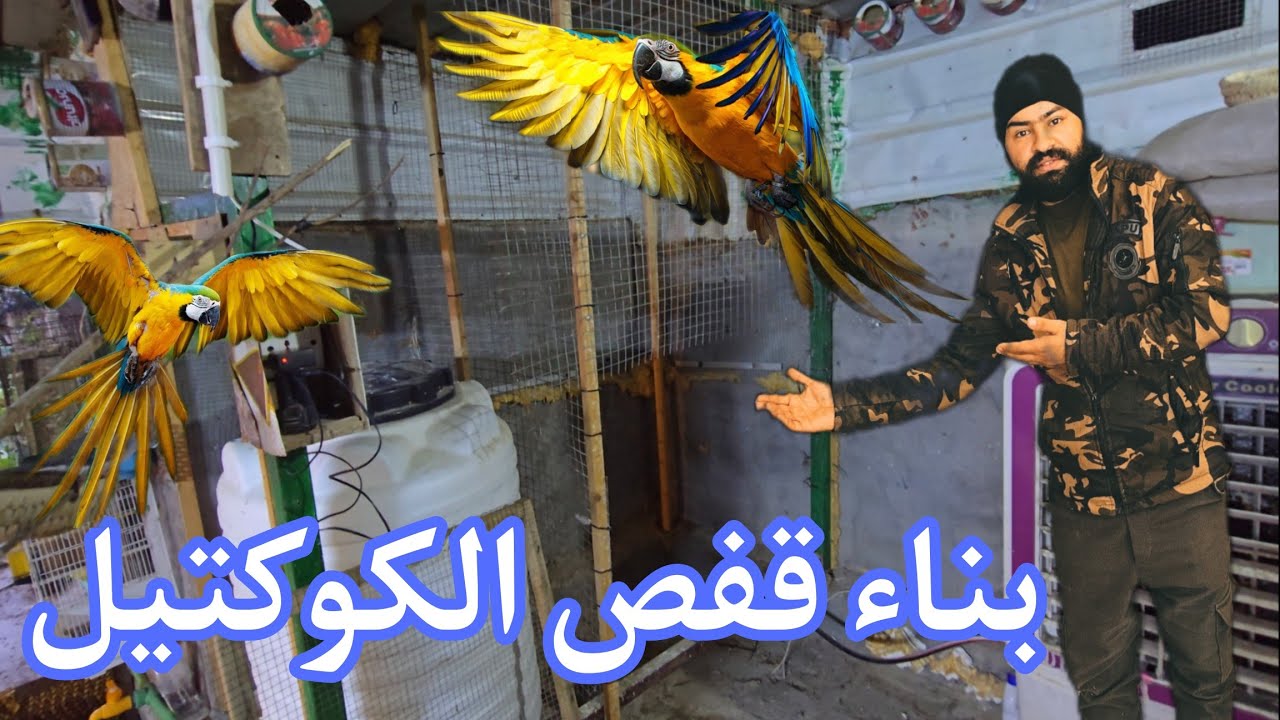 سويت قفص للكوكتيل 🦜 فتحت اعشاش الفناجس 🐦 شوف كميه الافراخ 😍