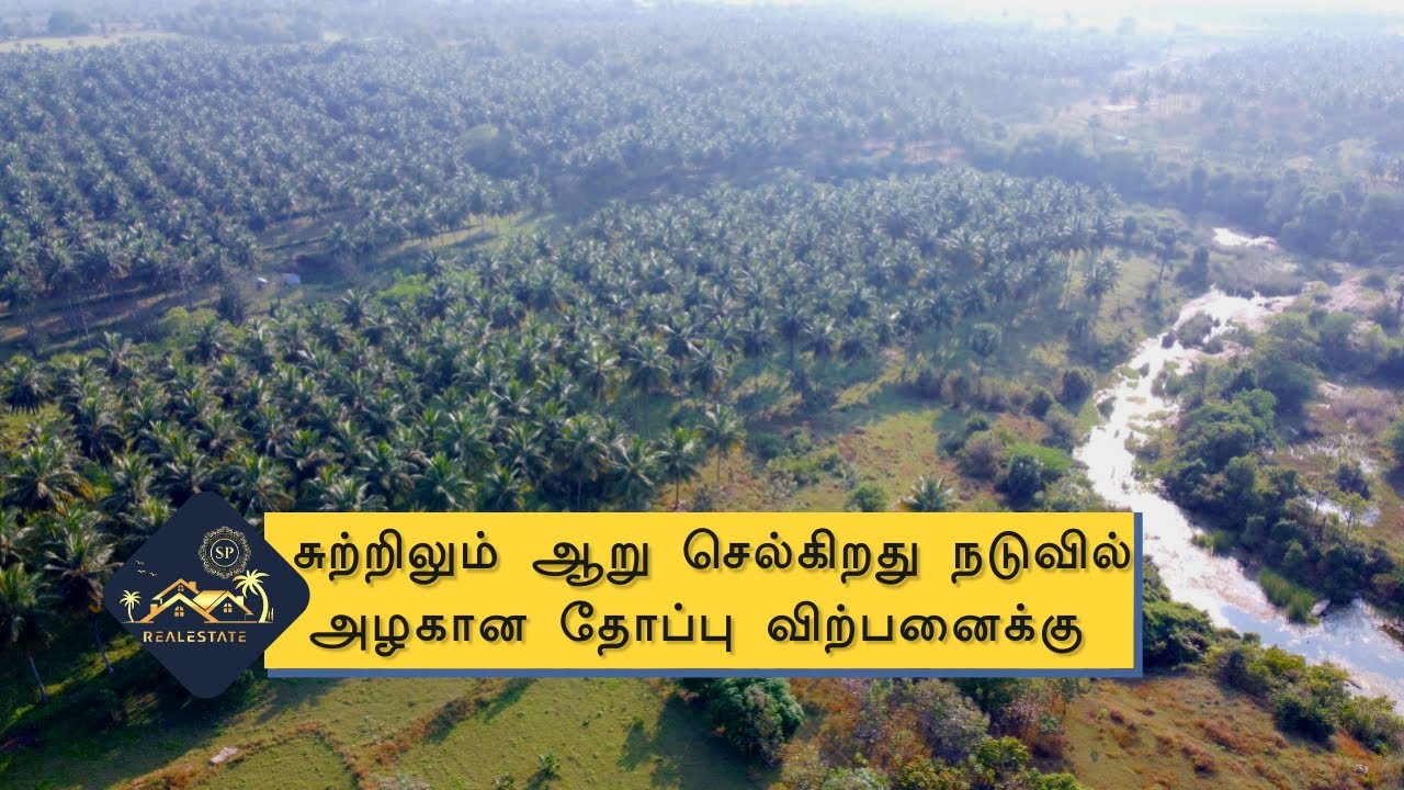20 acre coconut farm lands for sale in Pollachi | பொள்ளாச்சியில் அழகிய தோப்பு விற்பனைக்கு