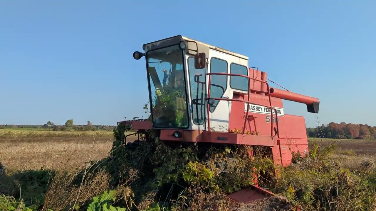 Abandoned Massey Ferguson 550 Combine Tractor Sitting In The Middle Of Nowhere.