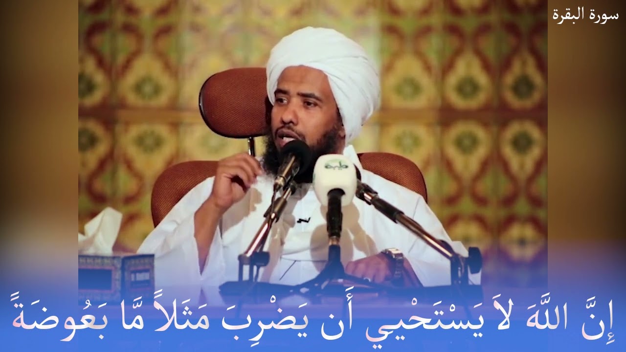 تفسير : إِنَّ اللَّهَ لاَ يَسْتَحْيِي أَن يَضْرِبَ مَثَلاً مَّا بَعُوضَةً فَمَا فَوْقَهَا