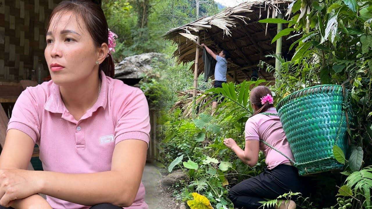 Discover Xuan's shelter  - Harvest Dragon fruit to sell