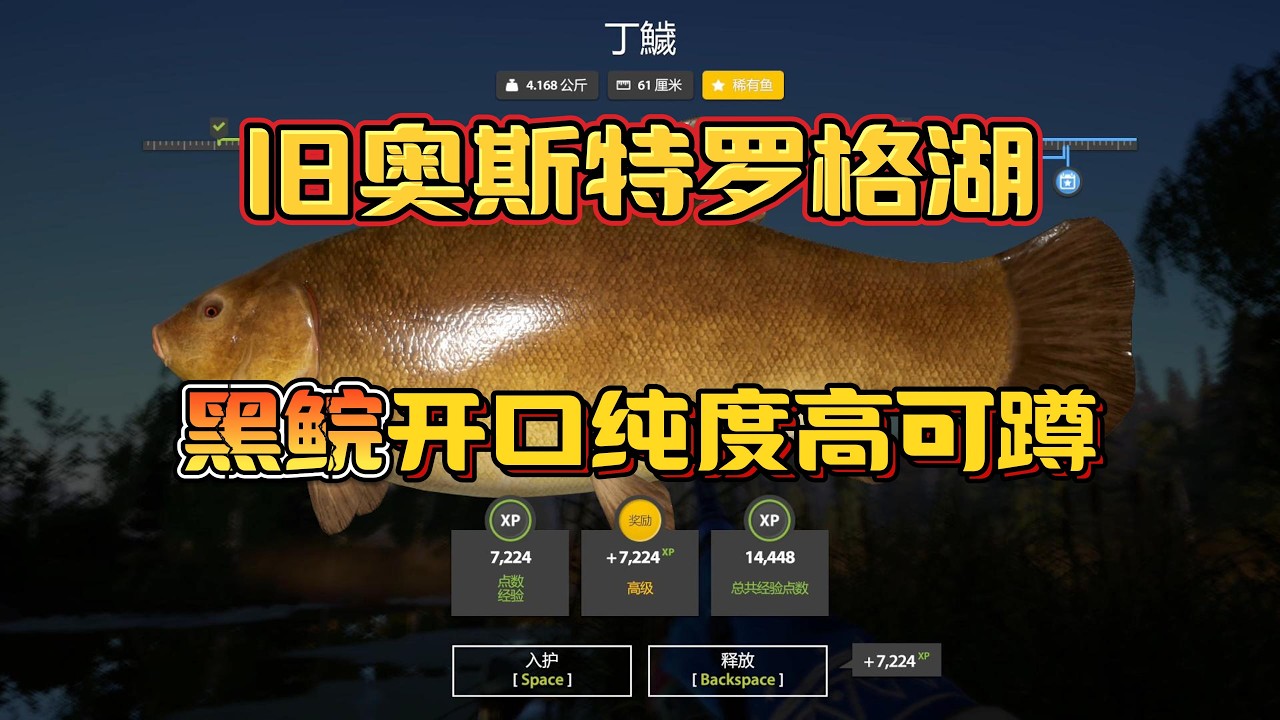 Russian Fishing 4：旧奥斯特罗格湖4小时捕钓，黑鯇开口，鱼口纯度较高可蹲奖杯鱼，可碰瓷丁鱥奖杯【水底捕钓教学教程】