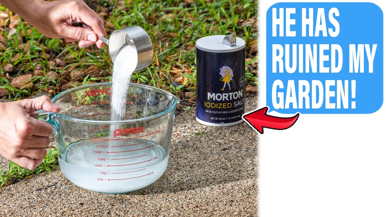 Smug Neighbor Killed My Entire Garden With Salt! HUGE MISTAKE!