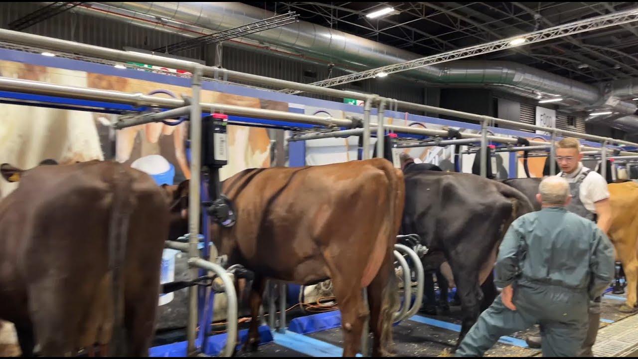 DANS LES COULISSES DE LA SALLE DE TRAITE DU SALON INTERNATIONAL DE L'AGRICULTURE 2025