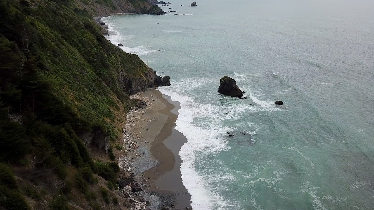 Redwood Coast (4k)