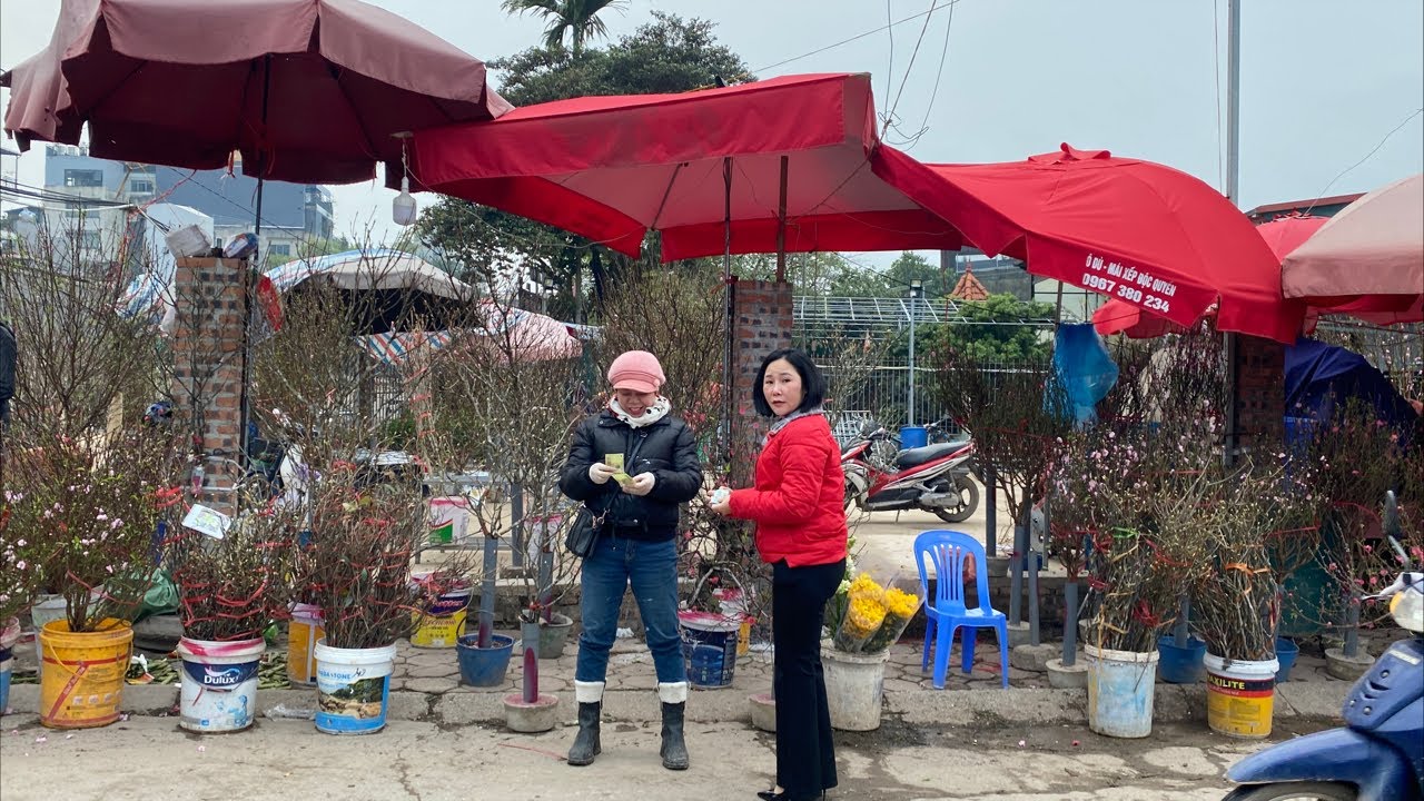 Trực Tiếp Chợ Hoa Đào Nhật Tân Chợ Quảng An Tây Hồ Hà Nội