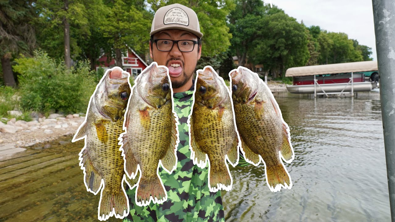 DISGUSTING Rock Bass Catch & Cook! (Is It Good?)