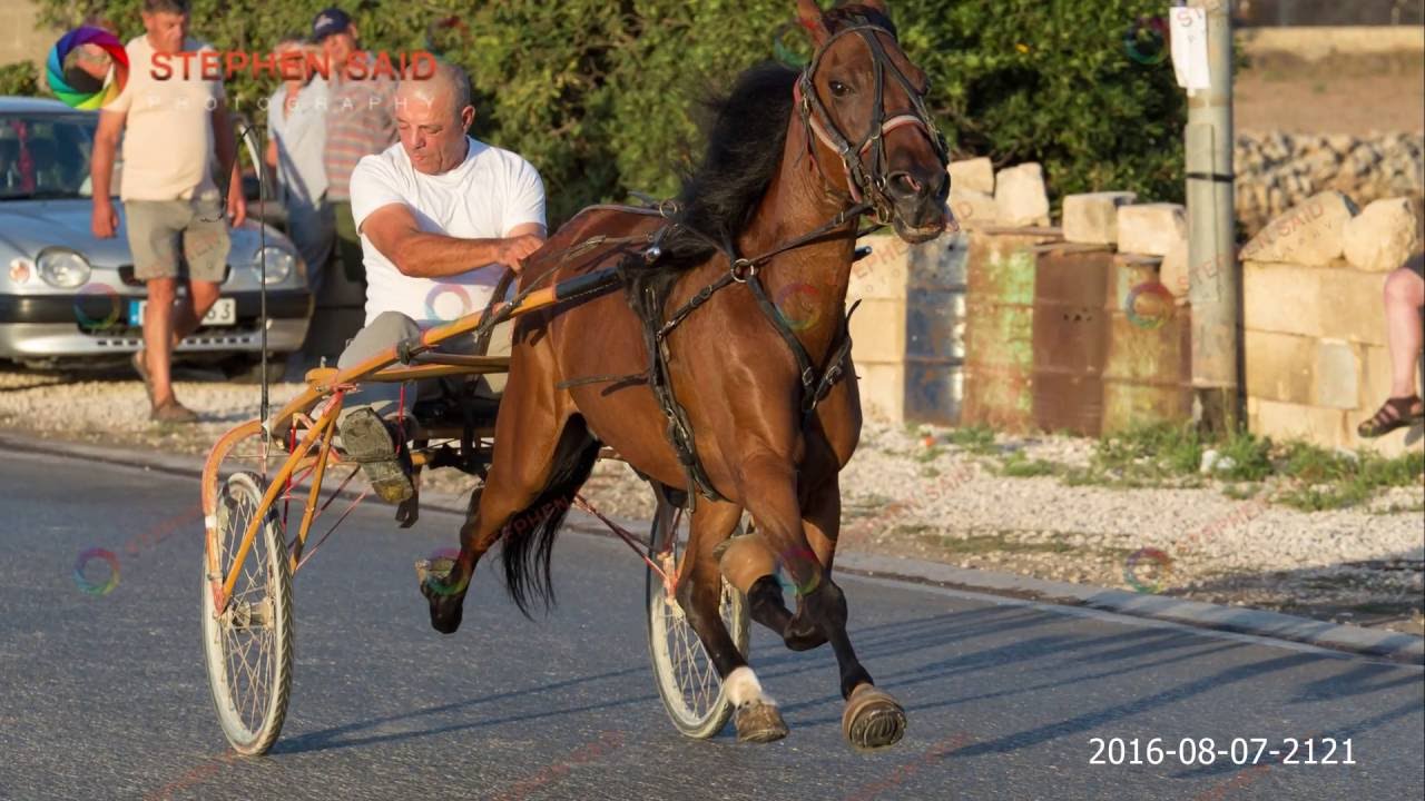 Zejtun 2016 08 07