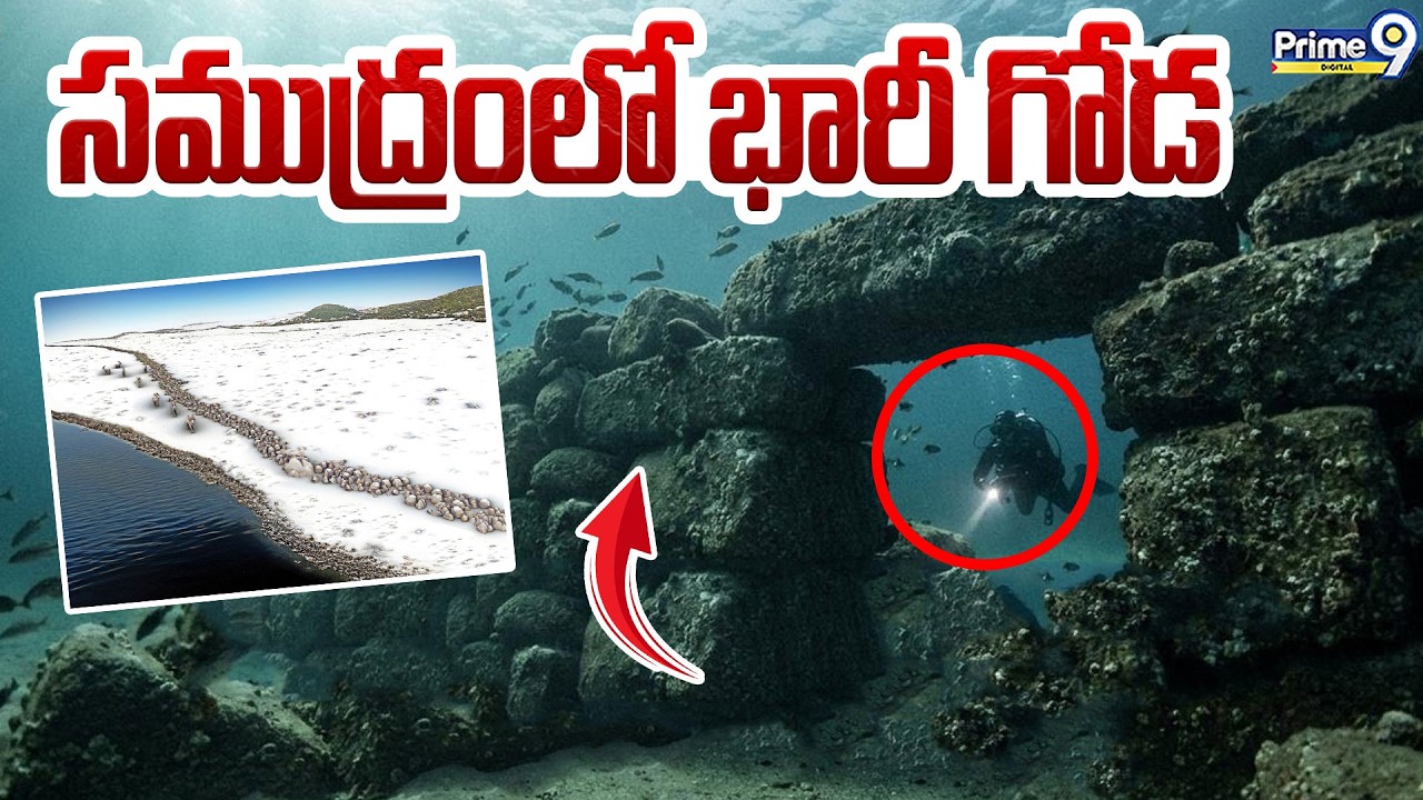 Blinkerwall సముద్రంలో భారీ గోడ | Stone Age Wall Discovered Of Germany | Viral News | Prime9 Digital