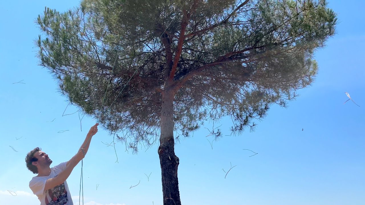 Primer Vuelo FPV en Meses y Drone al Árbol!