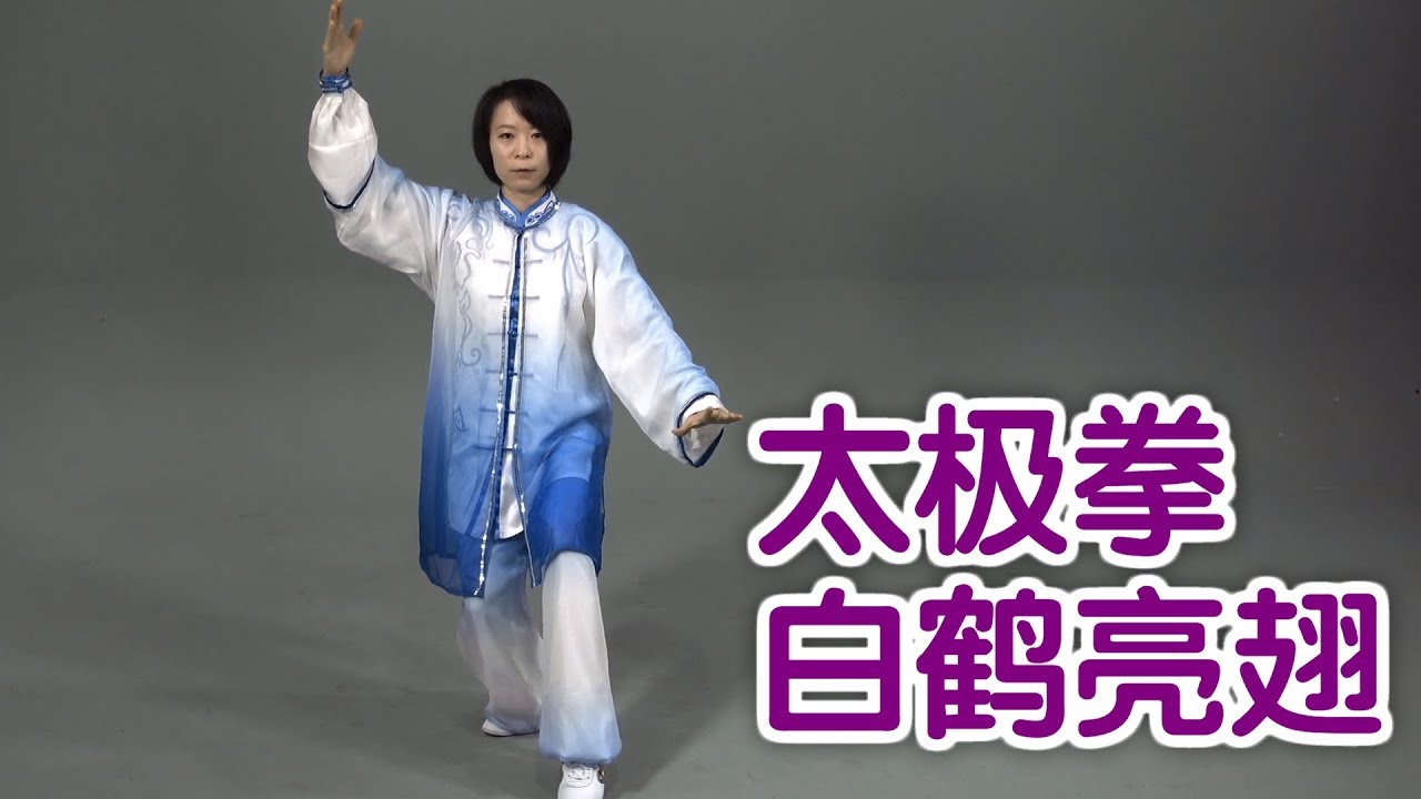 如何练习太极拳白鹤亮翅？|太极拳教学Tai Chi Lessons:White Crane Spreads Wings