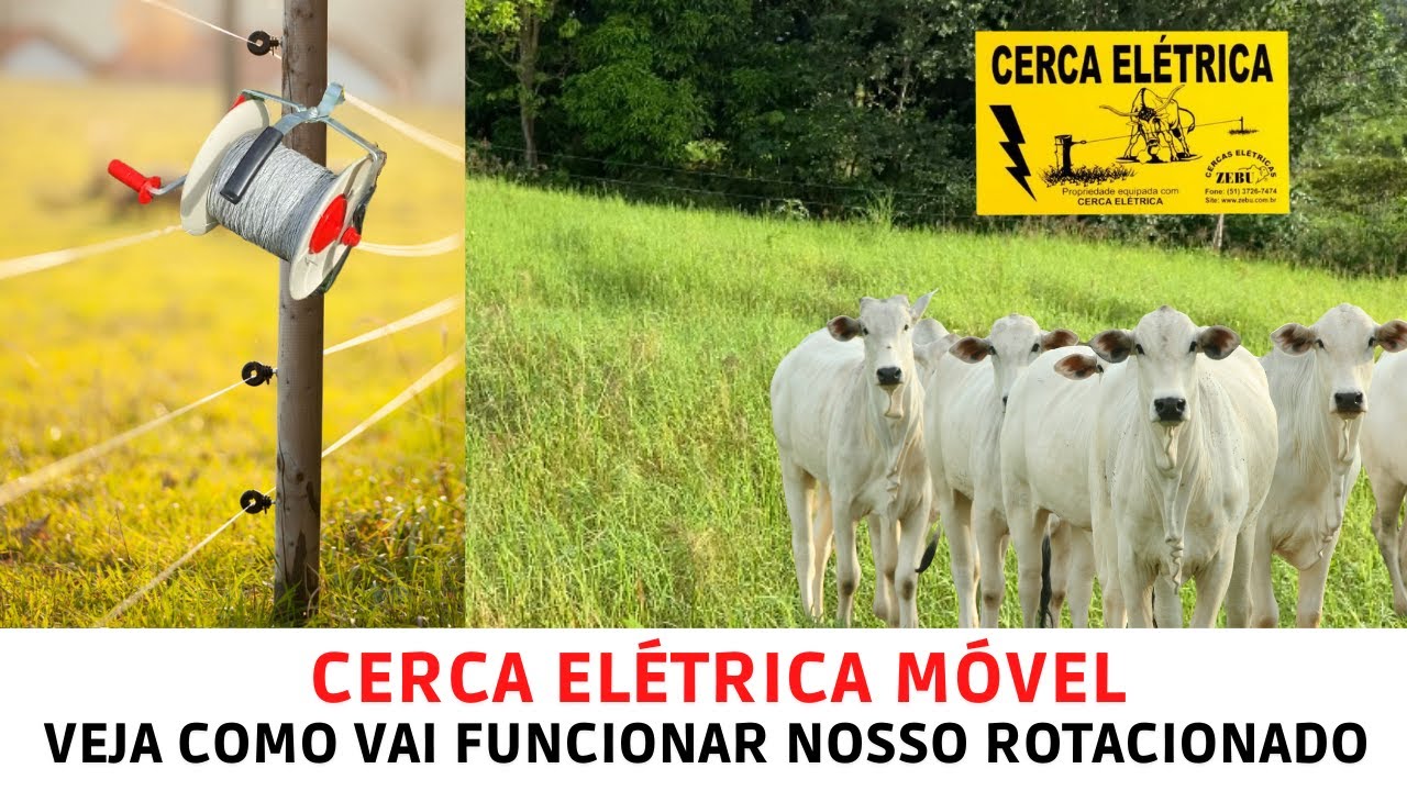 Cerca elétrica móvel do Nosso Rotacionado . Simples, Barato e Eficiente