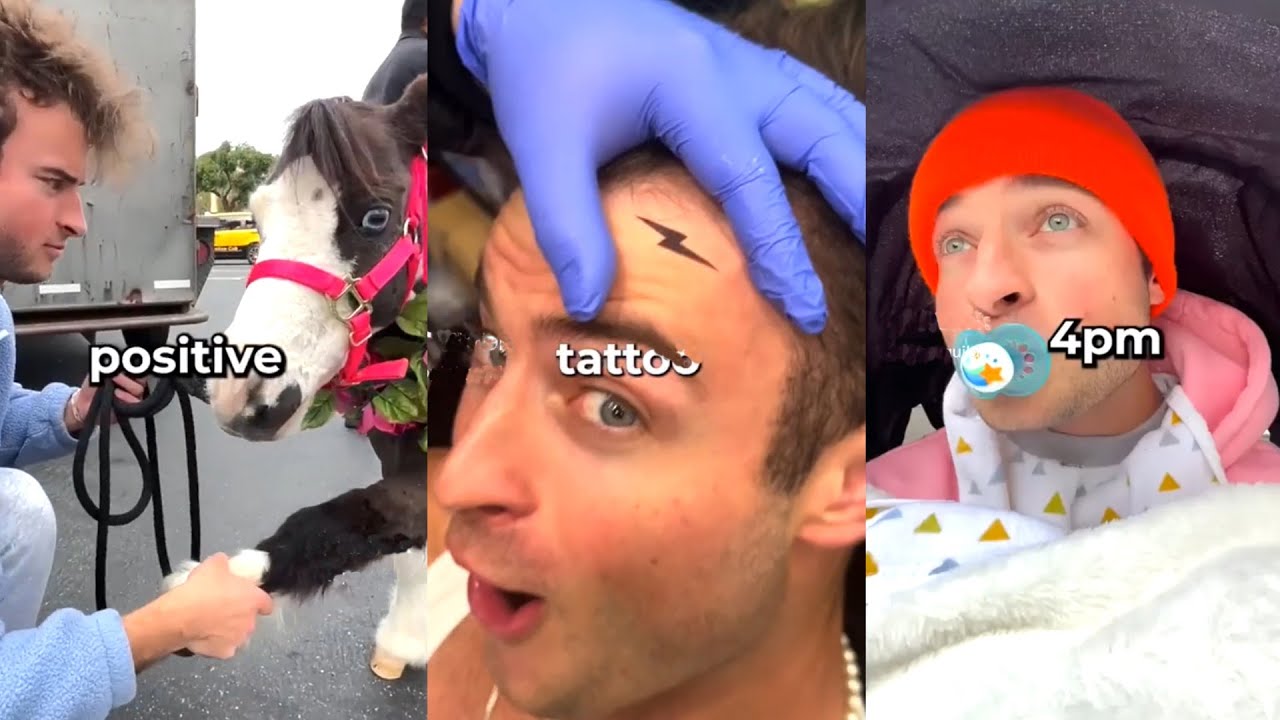 New Best Topper Guild Tik Tok 2023 - New Funny Tik Tok Memes - TikTok Famous