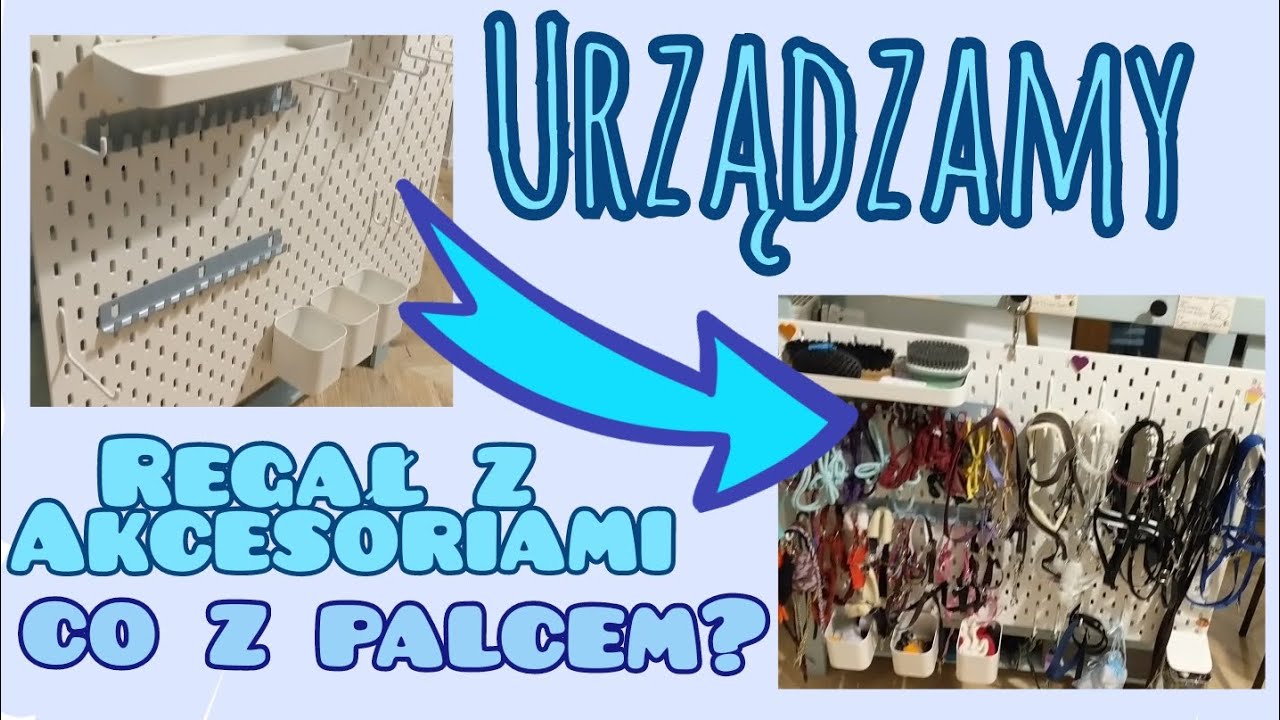 URZĄDZAMY STAJNIE! CO Z PALCEM??😨 Przegląd sprzętu