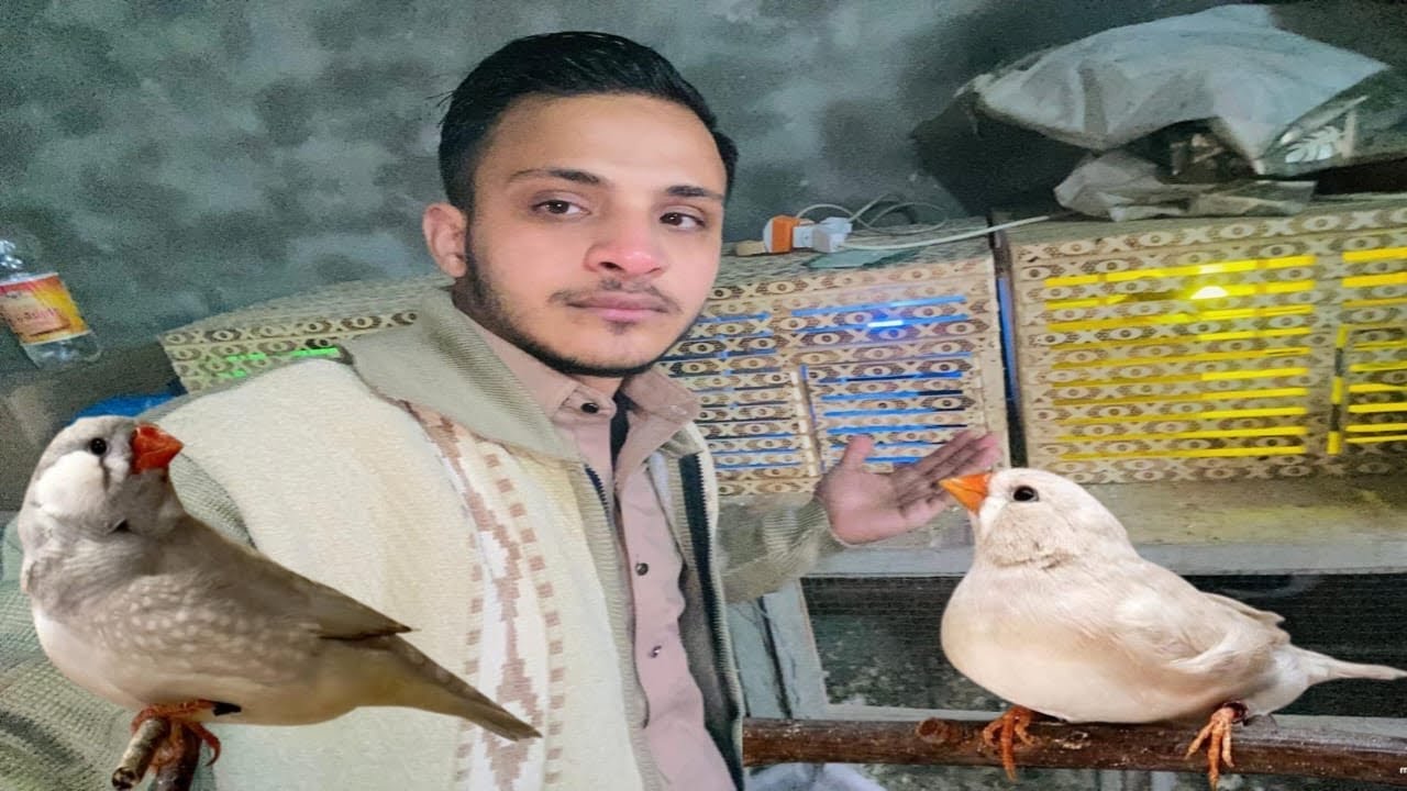 Finches Wale Box Check Kiye Hain😥