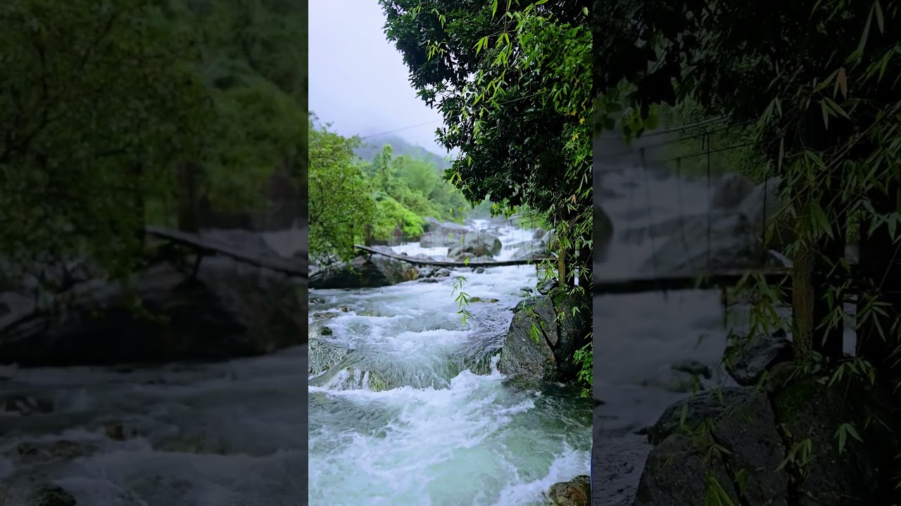 Anakkampoyil tourism📍
