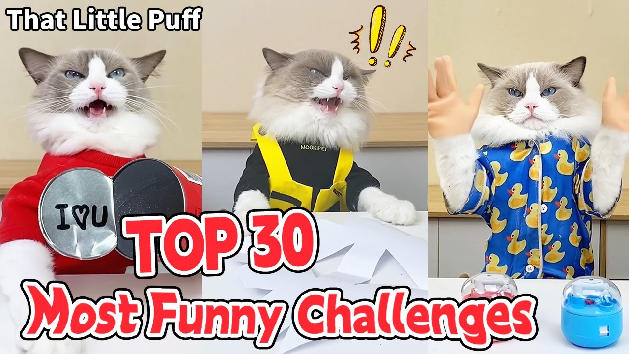 TOP 30 Most Funny Challenges! 🥳| That Little Puff