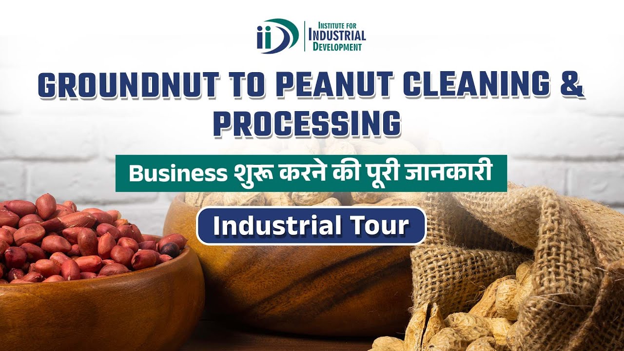Ground Nut to Peanut Cleaning and Processing Business | Food Processing Business Idea