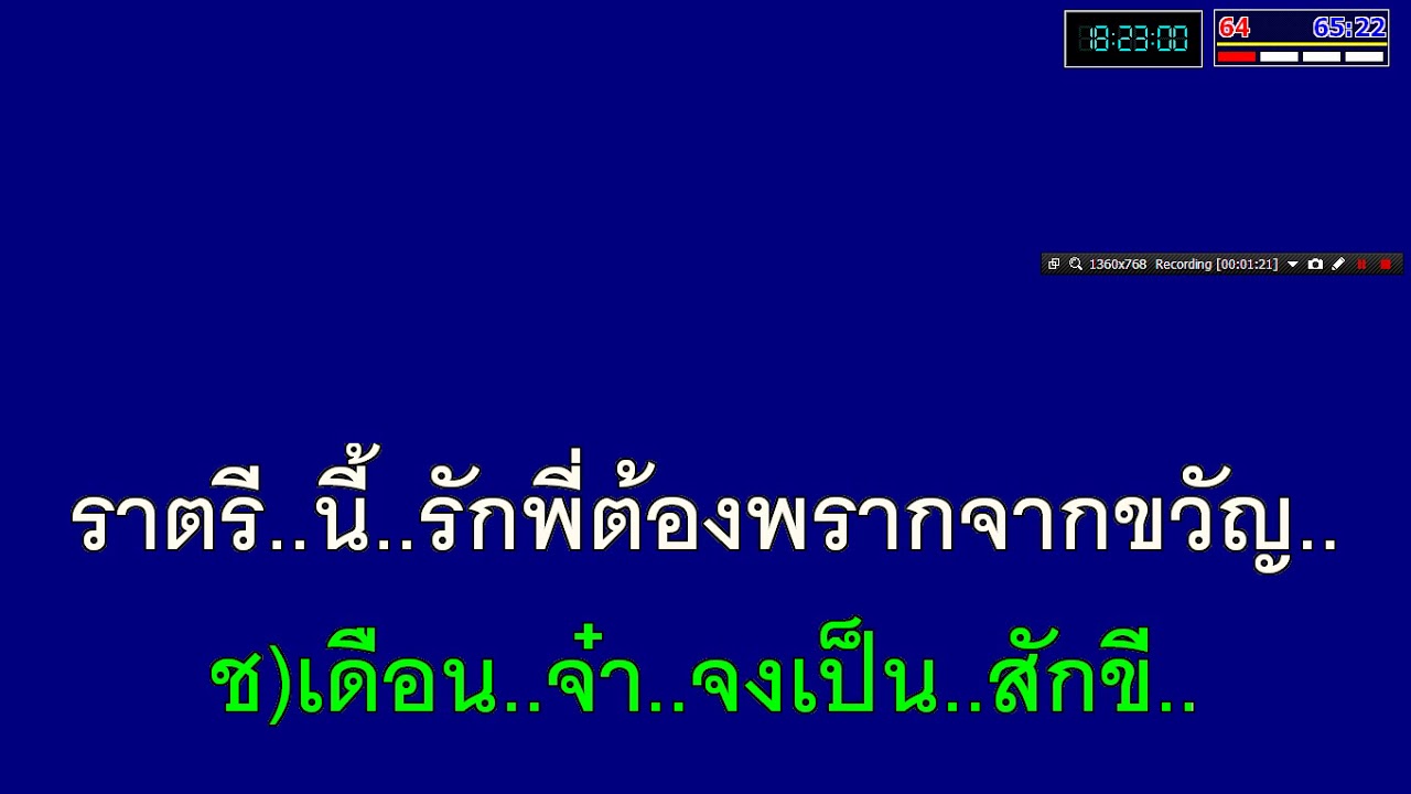 แสนเสียดาย ธานินทร์ / รุ่งฤดี (วงดนตรีหมูแม้ว)