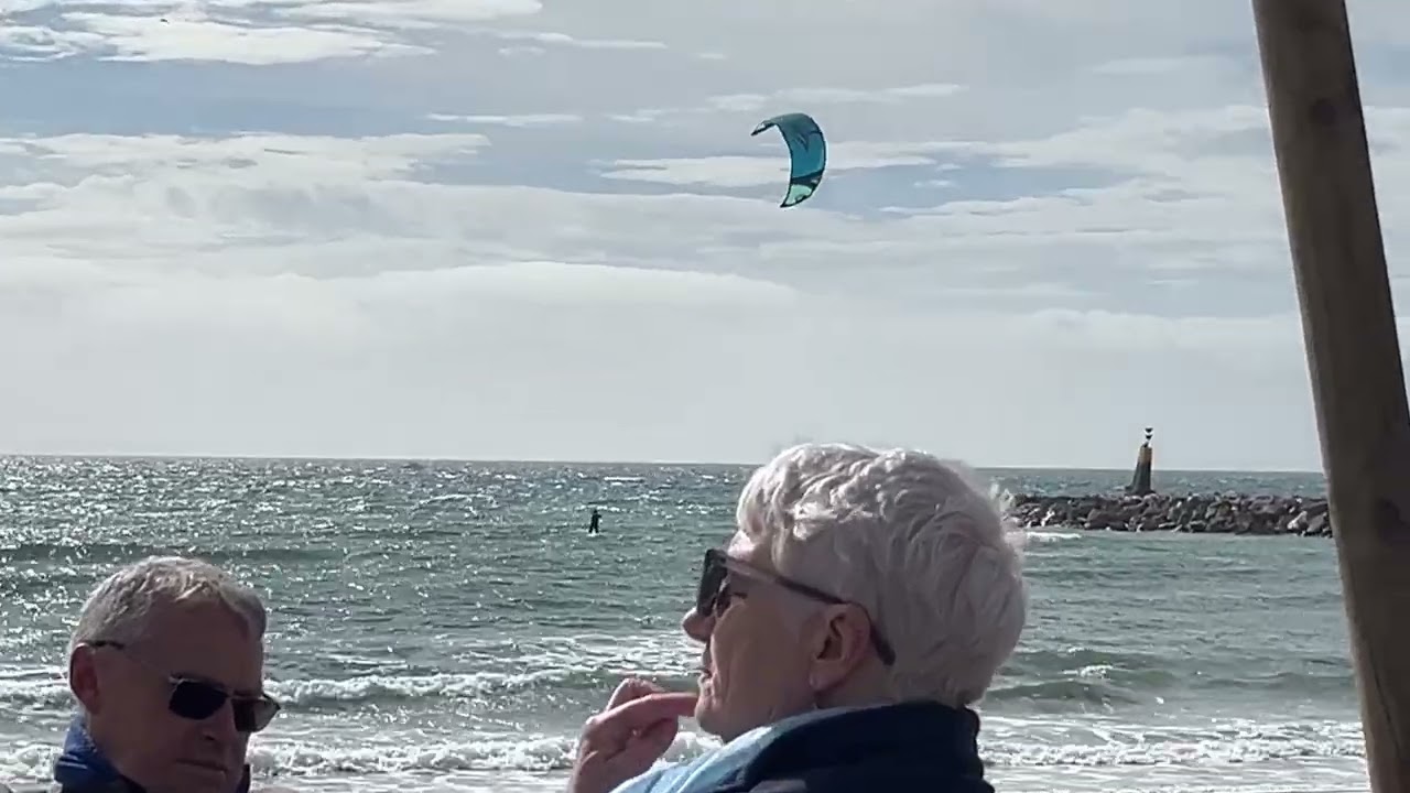 Miss Pigeon whith The cute eye- Birds at Calahonda/ Spain 