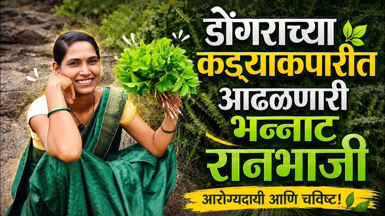 डोंगराच्या कड्याकपारीत आढळणारी भन्नाट रानभाजी 🌿 Ranbhaji #ranbhaji #minivlog #adivasi #sitapichad