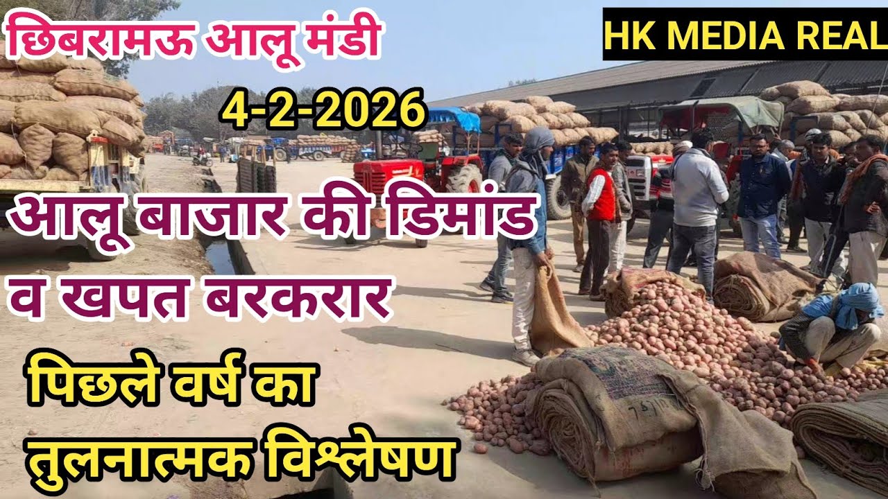 4-फरवरी-2026-आलू बाजार की डिमांड और खपत बरकरार, पिछली साल से इस वर्ष कितना हैअन्तर जाने छिबरामऊ मंडी